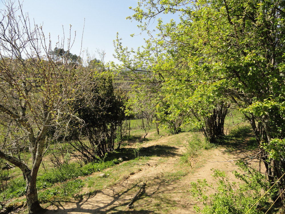 Chambre D'Hotes Au Creux Du Chambon ฌัวเยิส ภายนอก รูปภาพ