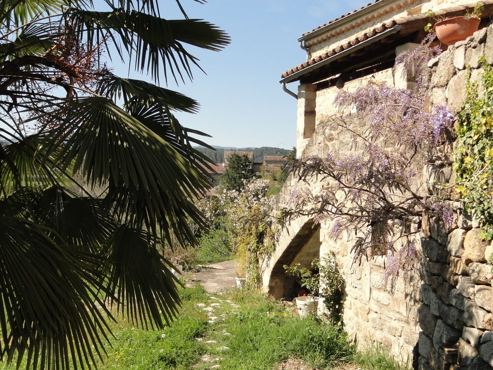 Chambre D'Hotes Au Creux Du Chambon ฌัวเยิส ภายนอก รูปภาพ